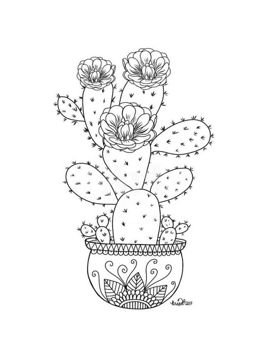 Succulent Coloring Pages