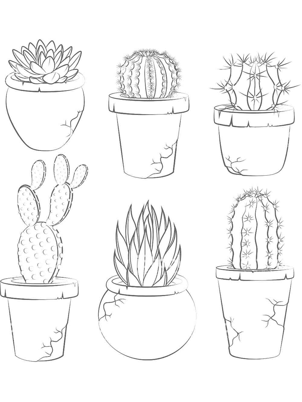 Succulent Coloring Pages