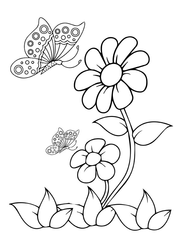 Two Butterflies And Flowers Coloring Page Free Printable Coloring 